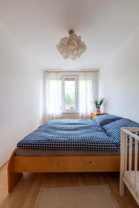 Grape Apartment Bratislava Exteriér fotografie